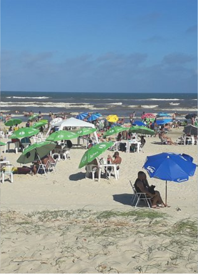 Navegue pela Categoria de PINHAL 